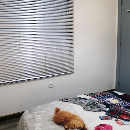 Acogedor Apartamento Muy Cerca De Barcelona Apartment